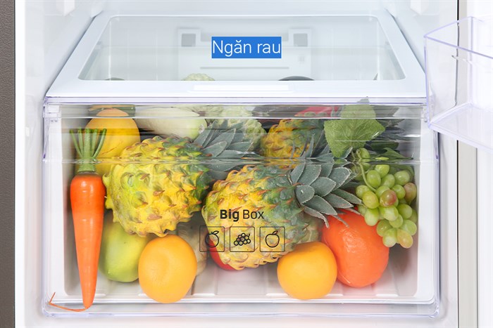 Tủ lạnh Samsung Inverter 299 lít RT29K5532BY/SV Màu Nâu