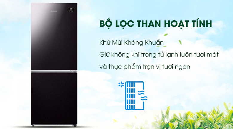 Bộ lọc than hoạt tính - Tủ lạnh Samsung Inverter 280 lít RB27N4010BY/SV