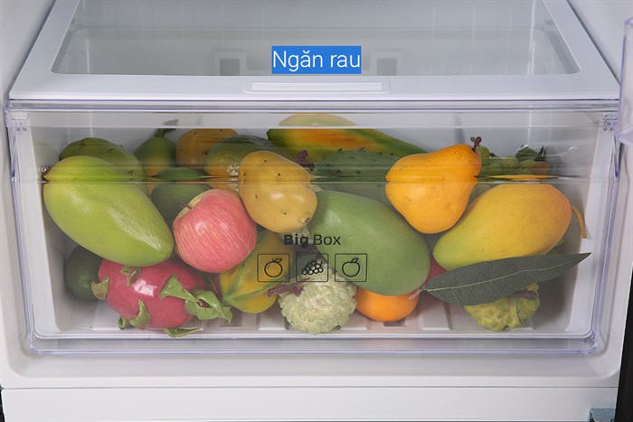 Tủ lạnh Samsung Inverter 360 lít RT35K50822C/SV Màu Đen