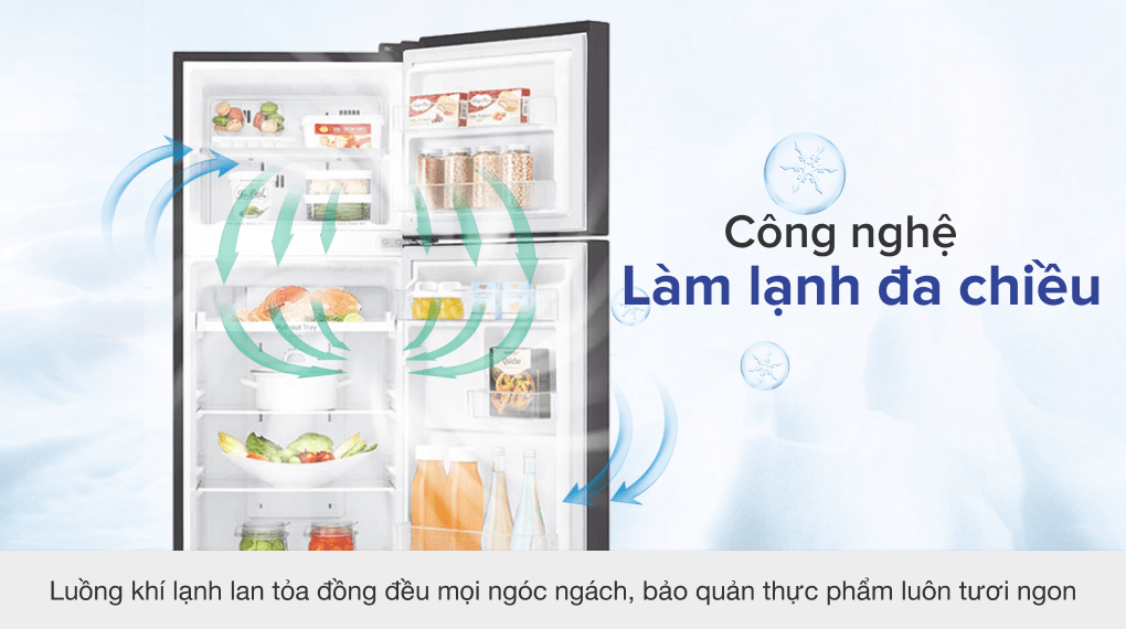 Tủ lạnh LG Inverter 187 lít GN-L205WB