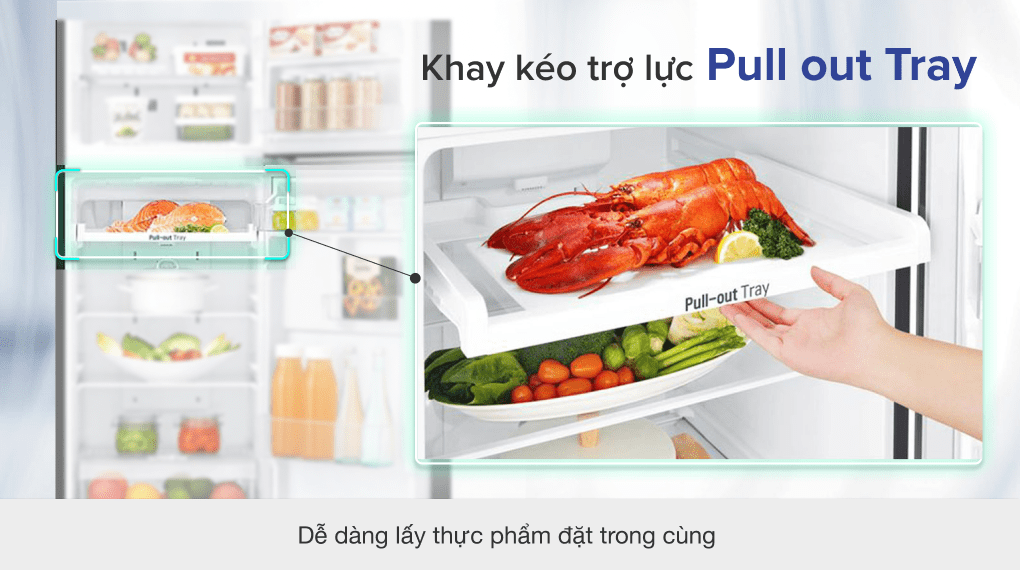 Tủ lạnh LG Inverter 187 lít GN-L205WB - 10