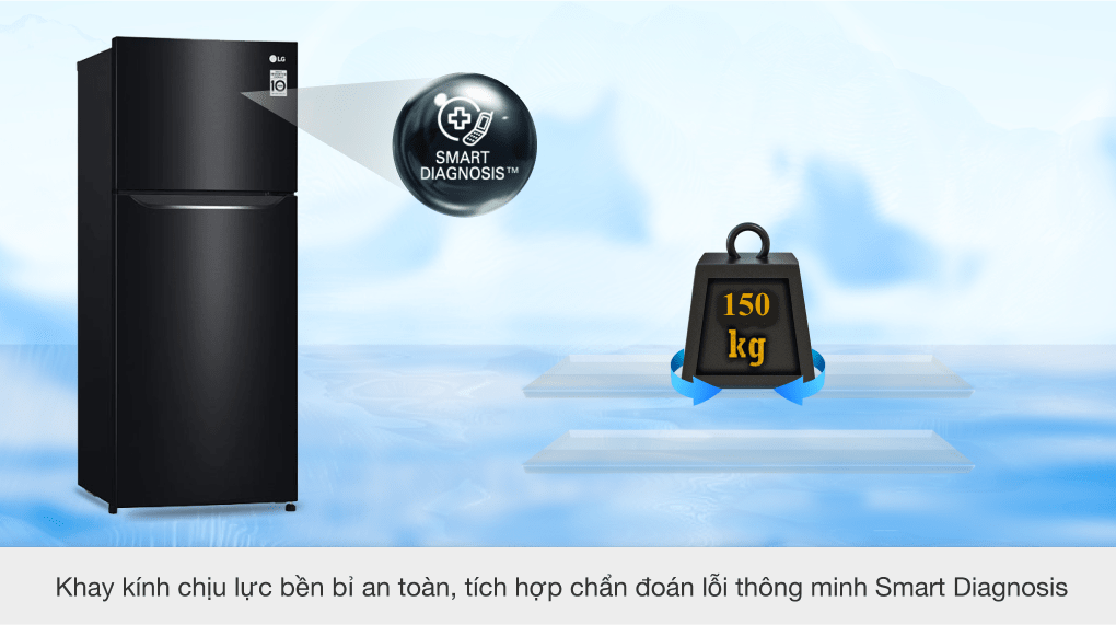 Tủ lạnh LG Inverter 187 lít GN-L205WB - 12