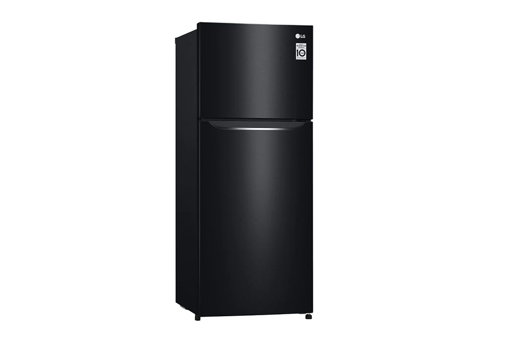 Tủ lạnh LG Inverter 187 lít GN-L205WB - 2