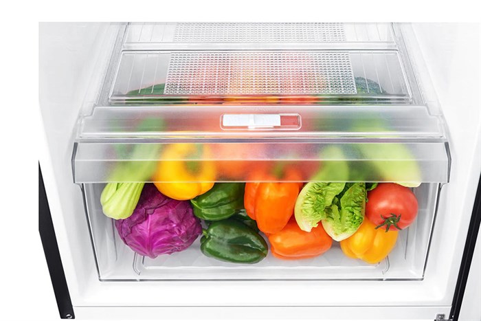 Tủ lạnh LG Inverter 187 lít GN-L205WB Màu Đen