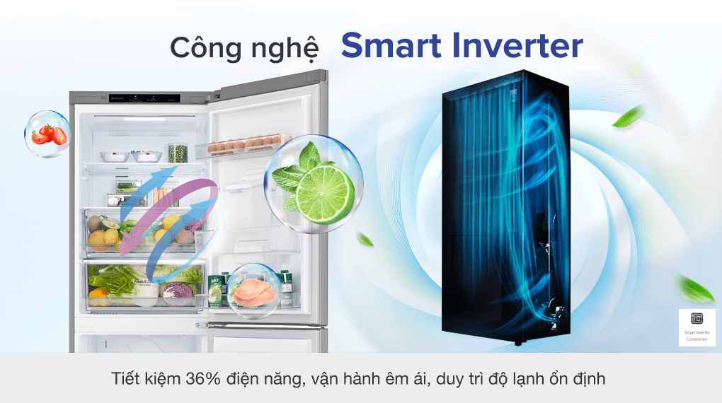 Tủ lạnh LG Inverter 305 lít GR-D305PS