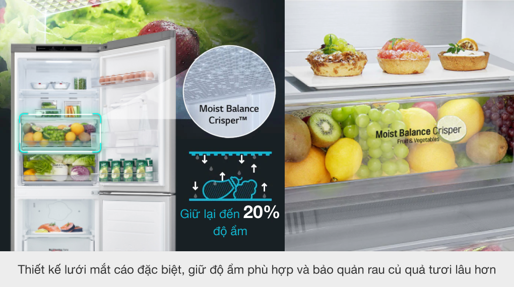 Tủ lạnh LG Inverter 305 lít GR-D305PS