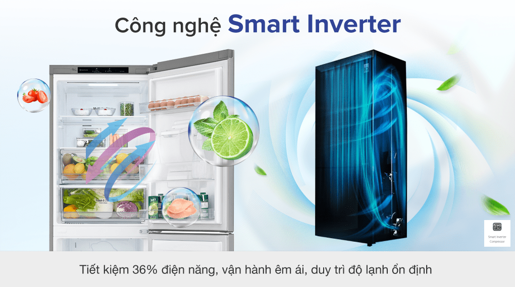 Tủ lạnh LG Inverter 305 lít GR-B305PS