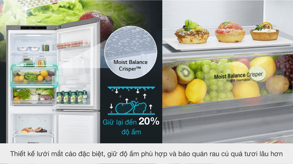 Tủ lạnh LG Inverter 305 lít GR-B305PS