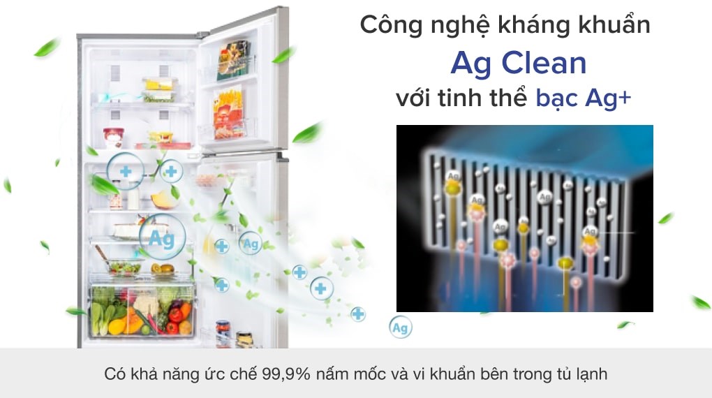Tủ lạnh Panasonic Inverter 234 lít NR-TV261APSV - 7