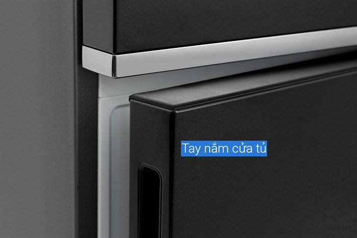 Tủ lạnh Samsung Inverter 307 lít RB30N4190BU/SV Màu Đen