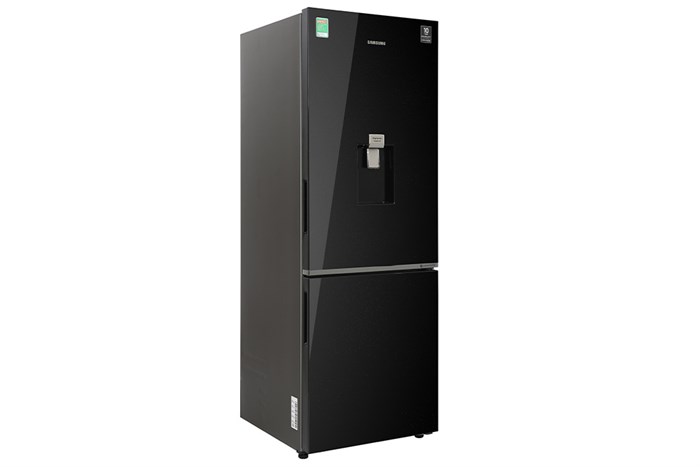 Tủ lạnh Samsung Inverter 307 lít RB30N4190BU/SV Màu Đen