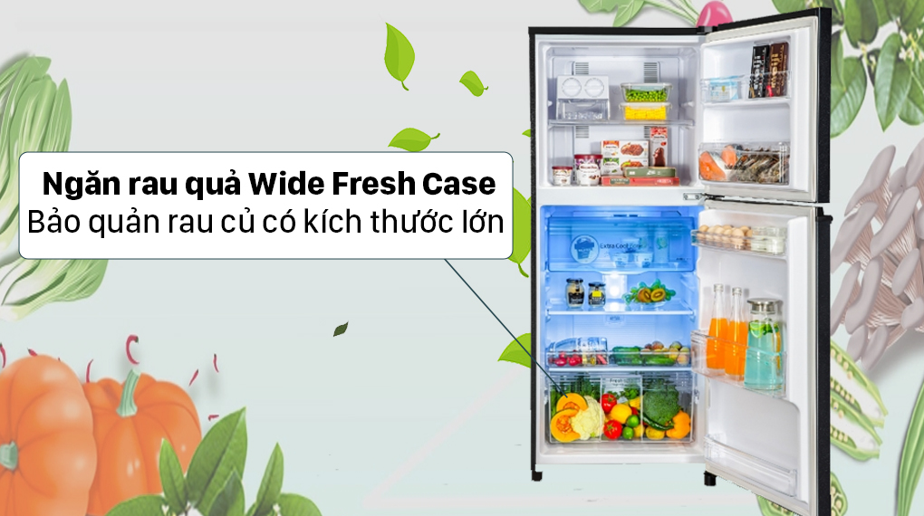 Tủ lạnh Panasonic Inverter 326 lít NR-TL351VGMV - Ngăn rau củ Wide Fresh Case