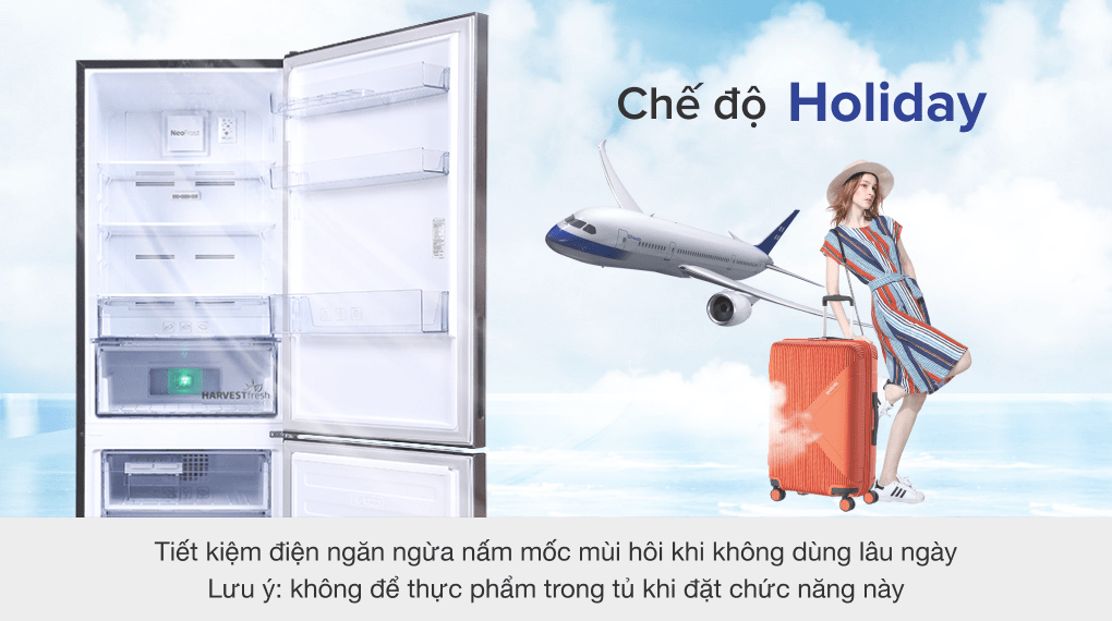 Tủ lạnh Beko Inverter 323 lít RCNT340I50VZK - 4