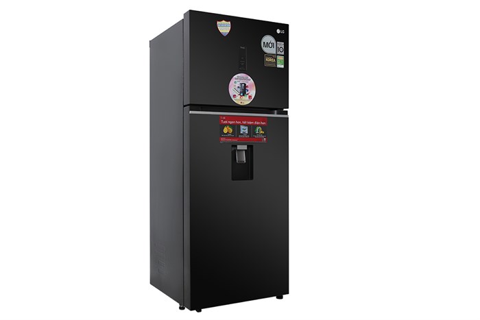 lg-inverter-394-lit-gn-d392bla2-1-700x467