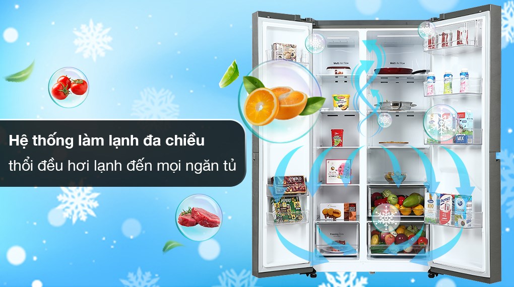 Tủ lạnh LG Inverter 649 Lít GR-B257JDS