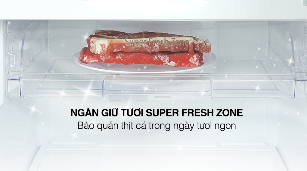 Tủ lạnh Casper Inverter 238 lít RT-250VD