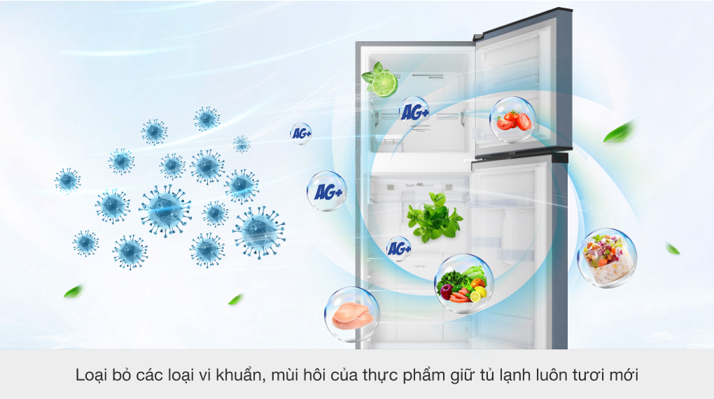 Tủ lạnh Casper Inverter 258 lít RT-270VD - Công nghệ kháng khuẩn, khử mùi