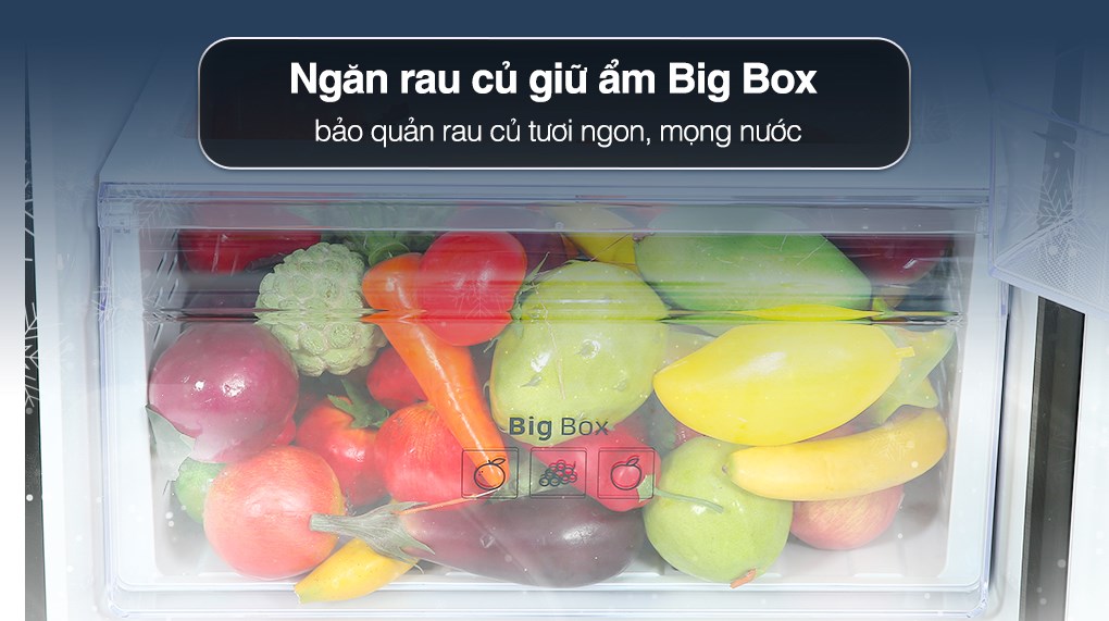 Tủ lạnh Samsung Inverter 302 Lít RT29K503JB1/SV