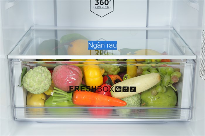 Tủ lạnh Aqua Inverter 260 Lít AQR-B306MA(HB) Màu Xám