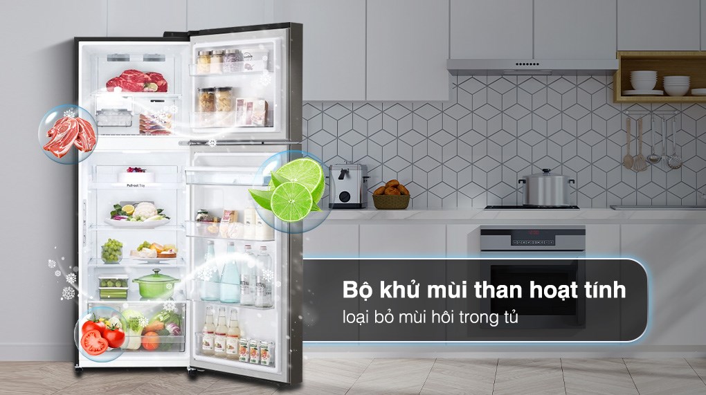 Tủ lạnh LG Inverter 264 Lít GV-D262BL