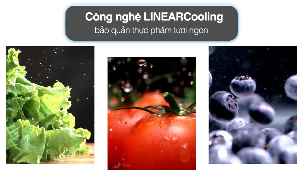 Tủ lạnh LG Inverter 264 Lít GV-D262BL