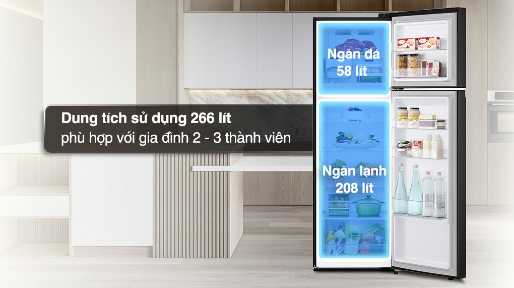 Tủ lạnh LG Inverter 266 lít GV-B262WB