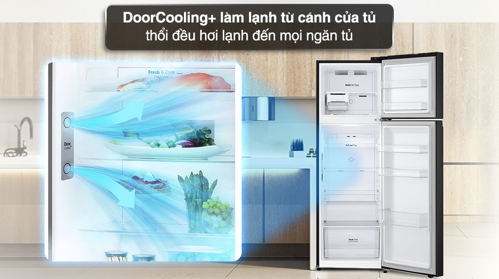 Tủ lạnh LG Inverter 266 lít GV-B262WB