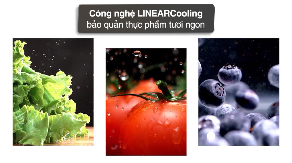 Tủ lạnh LG Inverter 266 lít GV-B262WB