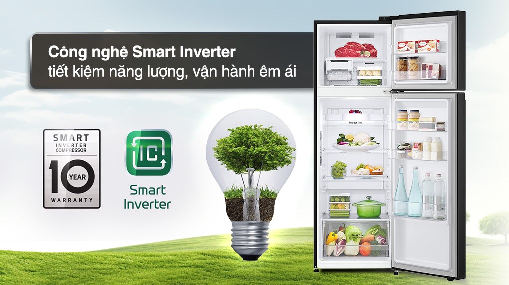 Tủ lạnh LG Inverter 266 lít GV-B262WB