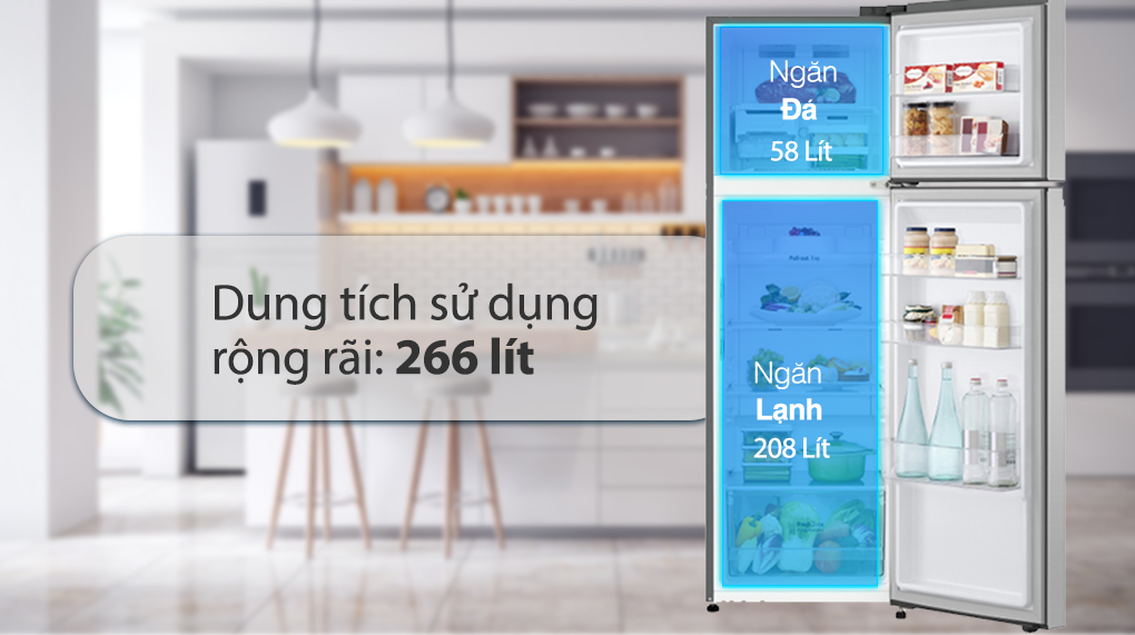 Tủ lạnh LG Inverter 266 Lít GV-B262WB - Dung tích ngăn lạnh, ngăn đá