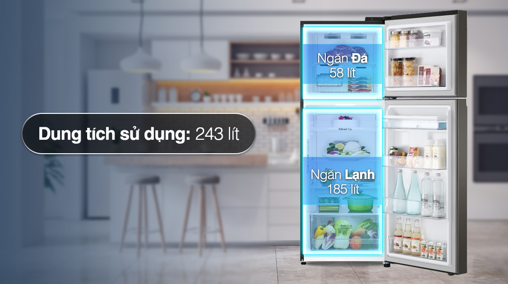 Tủ lạnh LG Inverter 243 Lít GV-B242BL - Dung tích