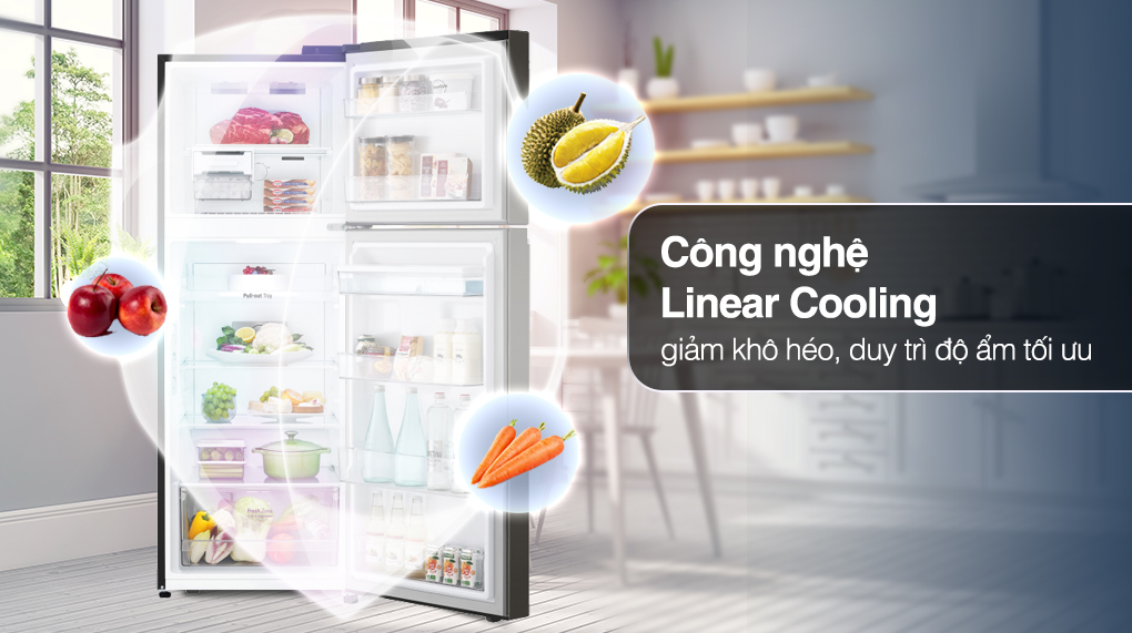 Tủ lạnh LG Inverter 243 Lít GV-B242BL - Linear Cooling