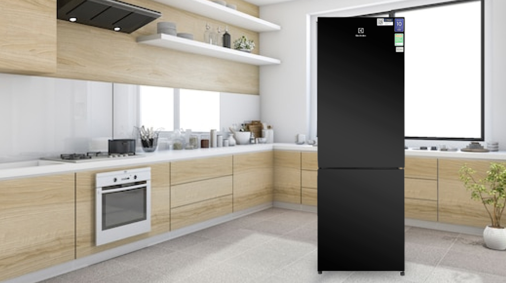 Tủ lạnh Electrolux Inverter 253 Lít EBB2802K-H - Tổng quan thiết kế