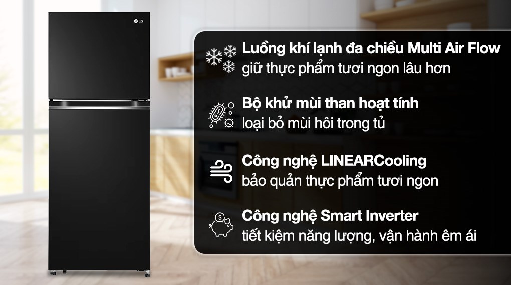 Tủ lạnh LG Inverter 217 lít GV-B212WB