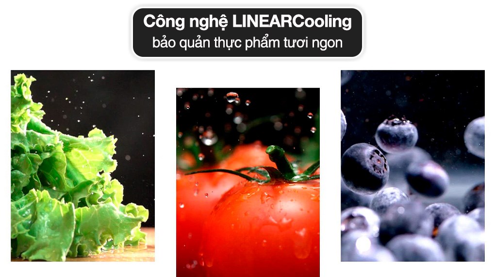 Tủ lạnh LG Inverter 217 lít GV-B212WB