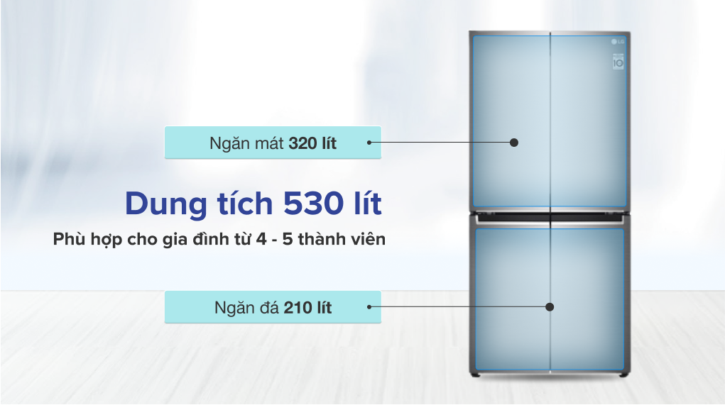 Tủ lạnh LG Inverter 530 lít GR-B53PS - Dung tích sử dụng