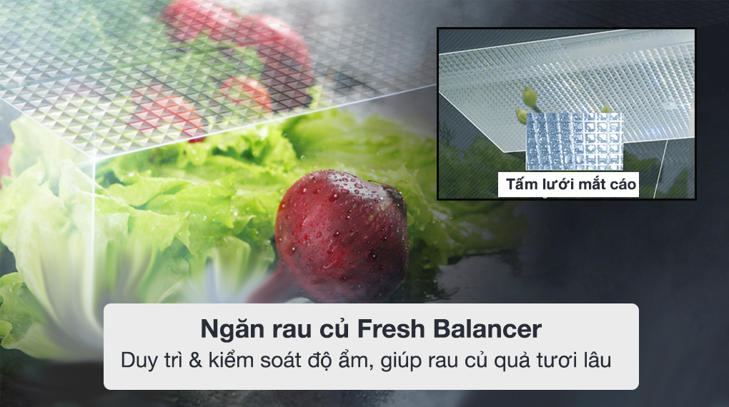 Tủ lạnh LG Inverter 655 lít GR-Q257MC - Ngăn rau củ cân bằng ẩm lưới mắt cáo 2 chế độ Fresh Balancer