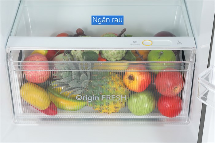 Tủ lạnh Toshiba Inverter 336 lít GR-RT435WEA-PMV(06)-MG Màu Đen - Xám