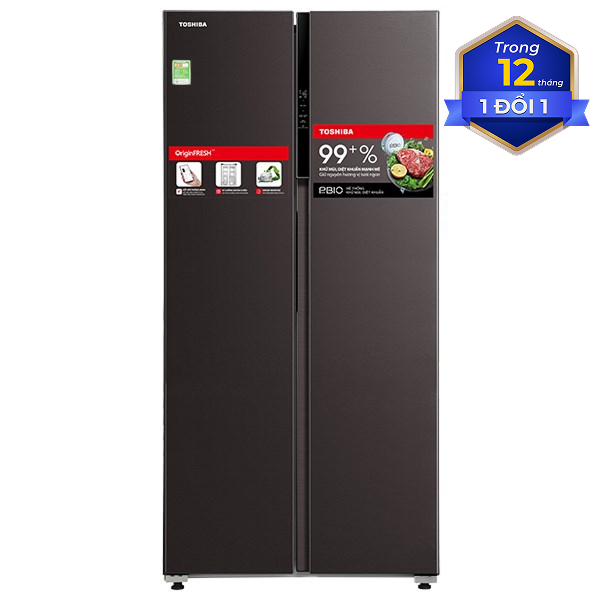 Toshiba Inverter 460 lít GR-RS600WI-PMV(37)-SG