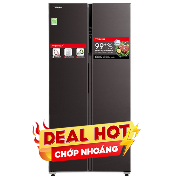 Toshiba Inverter 460 lít GR-RS600WI-PMV(37)-SG