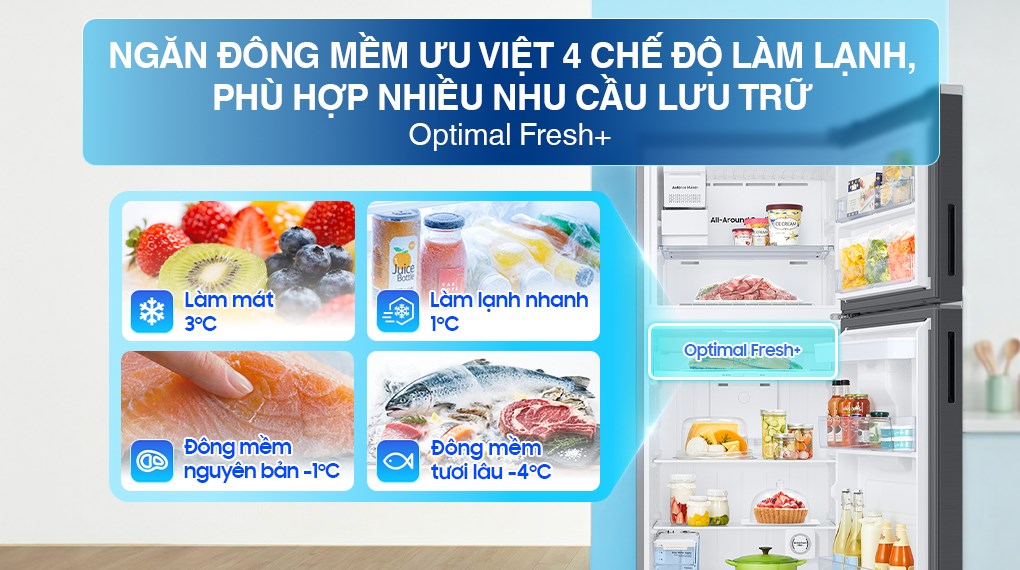 Tủ lạnh Samsung Inverter 406 lít RT42CG6584B1SV