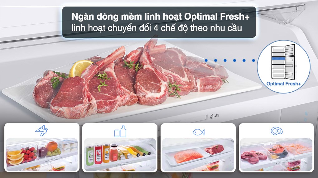 Tủ lạnh Samsung Inverter 382 lít RT38CG6584B1SV