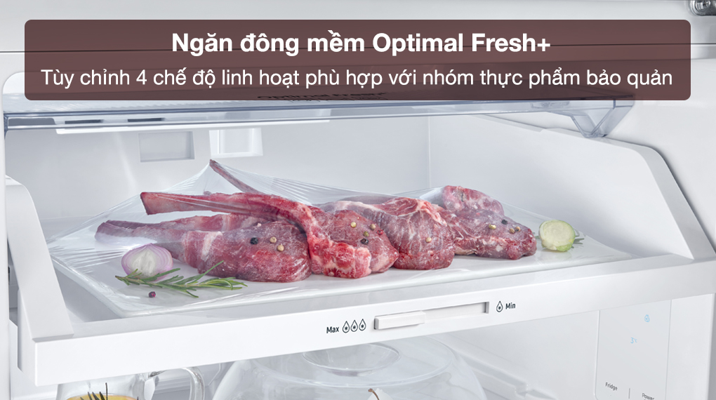 Tủ lạnh Samsung Inverter 348 lít RT35CG5424B1SV - Ngăn đông mềm Optimal Fresh+ giúp người dùng tùy chỉnh 4 chế độ linh hoạt phù hợp với nhóm thực phẩm bảo quản