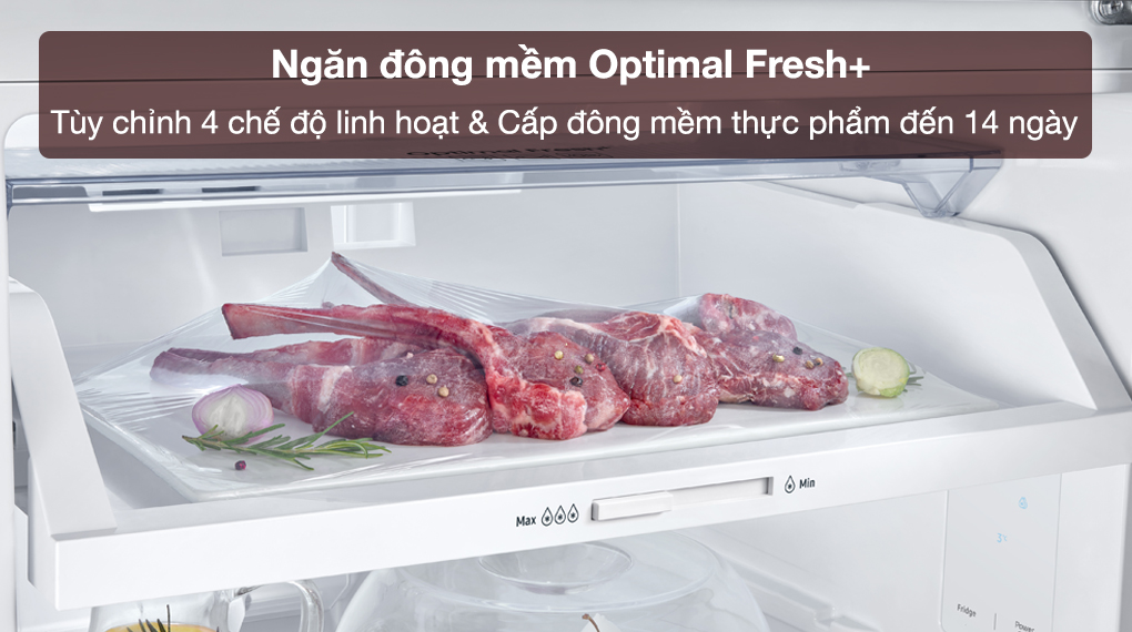 Tủ lạnh Samsung Inverter 305 lít RT31CG5424B1SV - Ngăn đông mềm Optimal Fresh+ tùy chỉnh 4 chế độ bảo quản thực phẩm linh hoạt, cấp đông và duy trì độ tươi ngon đến 14 ngày