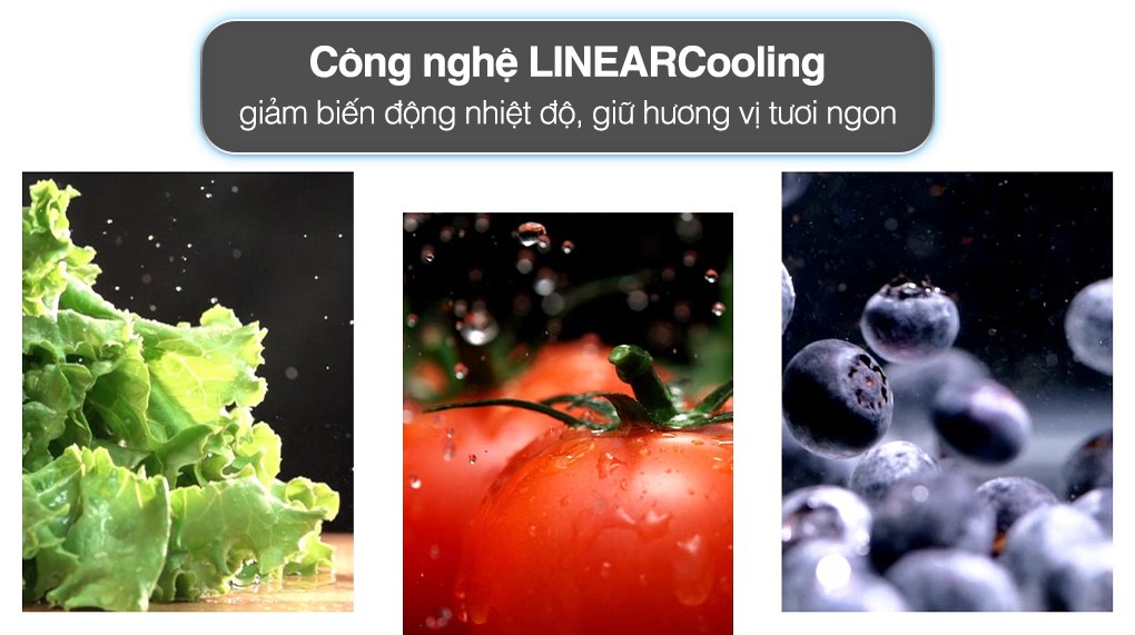 Tủ lạnh LG Inverter 335 lít GN-B332BG