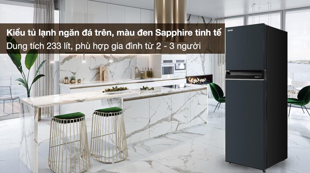 Tủ lạnh Toshiba Inverter 233 lít GR-RT303WE-PMV(52) - Kiểu tủ lạnh ngăn đá trên, màu đen Sapphire sang trọng, dung tích 233 lít phù hợp gia đình từ 2 - 3 người