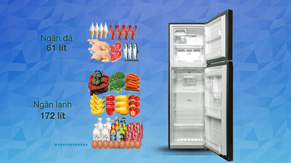 Tủ lạnh Toshiba Inverter 233 lít GR-RT303WE-PMV(52) - Dung tích ngăn đá 61 lít và ngăn lạnh 172 lít