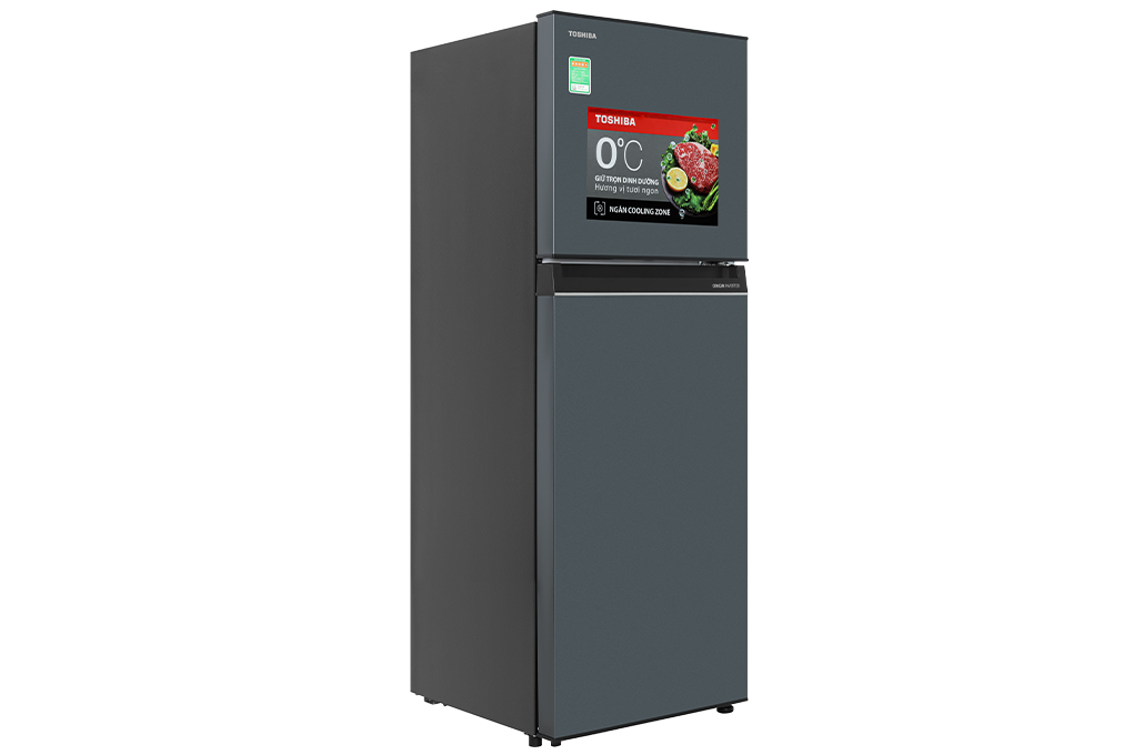 Tủ lạnh Toshiba Inverter 233 lít GR-RT303WE-PMV(52) Màu Xám