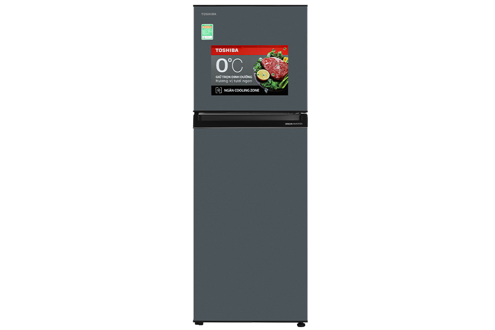 Tủ lạnh Toshiba Inverter 253 lít GR-RT329WE-PMV(52) Màu Xám
