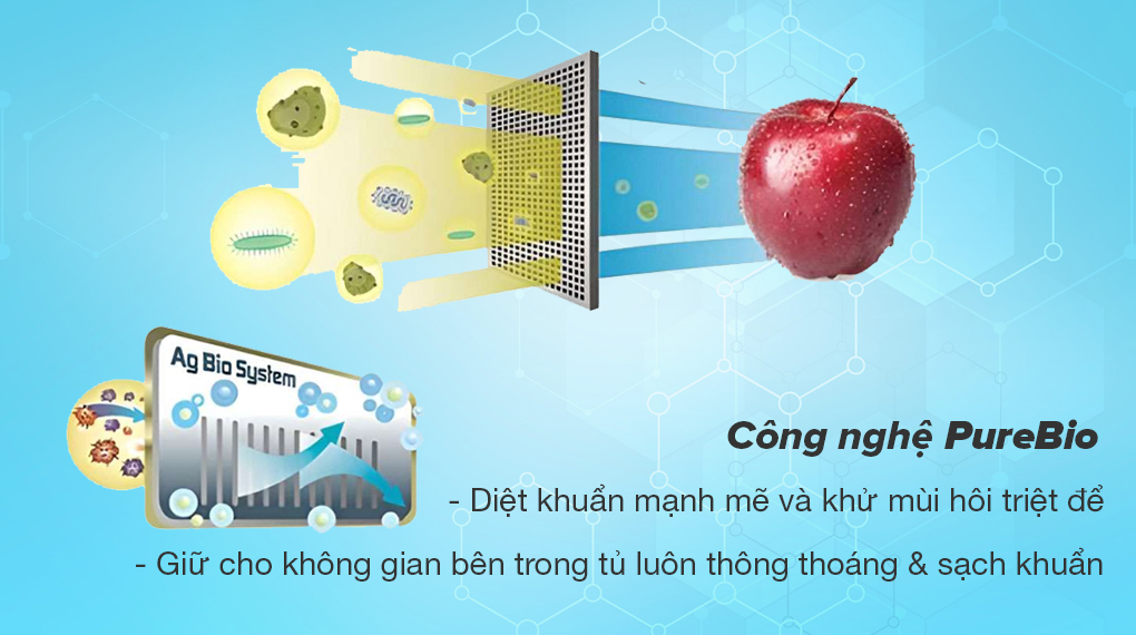 Tủ lạnh Toshiba Inverter 253 lít GR-RT329WE-PMV(52)-Công nghệ PureBio diệt khuẩn mạnh mẽ, khử mùi hôi đáng kể giúp không gian bên trong tủ luôn thông thoáng